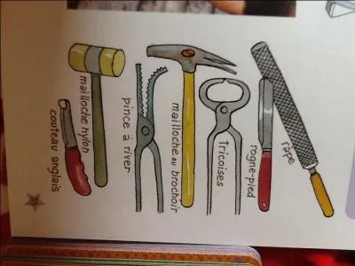 Comment s'appelle le professionnel qui vient changer les fers des chevaux et des poneys ?