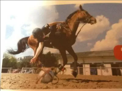 Quelle discipline n'existe pas ?