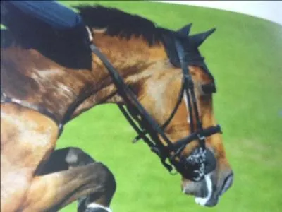 Que veulent dire les lettres C.S.O ?