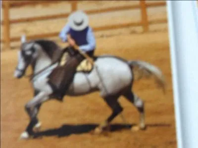 Laquelle de ces disciplines ne se pratique pas en équipe ?