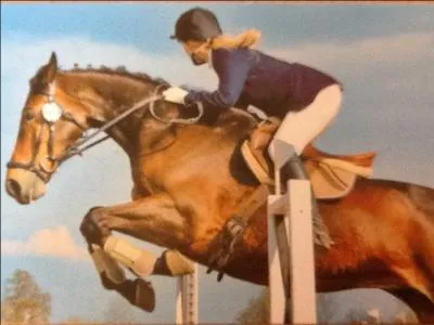 Quel est le record du monde de saut d'obstacle ?