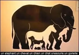 Quels animaux peut-on voir sur cette image ?