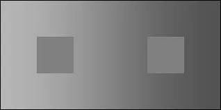 Ces deux carrés sont-ils de la même couleur ?