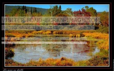 Georges Sand a écrit différents genres de romans selon les années. À quel genre appartient "la mare au Diable"?