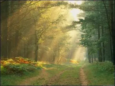 Quelle terre a-t-elle souvent décrite ?