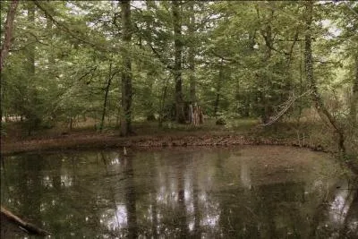 Où se trouve la mare au diable qui n'est pas une fiction ?