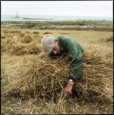 Comment s'appelle le paysan qui veut marier son gendre, veuf, Germain le laboureur ?
