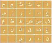 La plupart des Marocains sont arabophones, ce qui veut dire qu'ils parlent arabe :