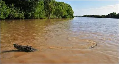 Quel terrifiant record poss&egrave;de l'&icirc;le de Ramree en Birmanie ?