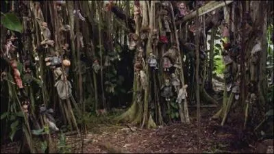 Cette &icirc;le mexicaine est pour moi la plus inqui&eacute;tante qui soit. Dans les ann&eacute;es 1950 un homme d&eacute;cide de partir vivre en ermite sur cette &icirc;le, &agrave; son arriv&eacute;e il y trouve une jeune fille noy&eacute;e. Que d&eacute;cide-t-il alors d'accrocher sur toute l'&icirc;le pour aider l'esprit de la jeune fille &agrave; trouver la paix ?