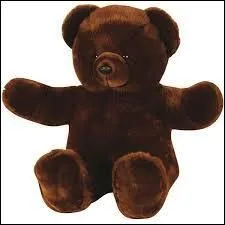 Comment s'appelle l'ours en peluche de Zuri ?