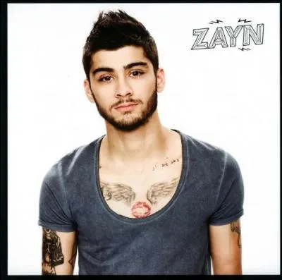 A quelle heure est n&eacute; Zayn ?