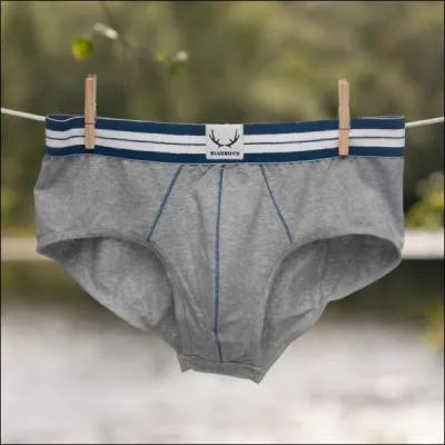 Un slip de coton gris parfaitement choisi pour figurer sur la photo...