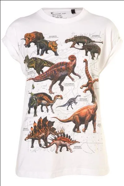 Un T-shirt sali remplacé par un T-shirt d'enfant fait entrer les dinosaures dans le monde des affaires...