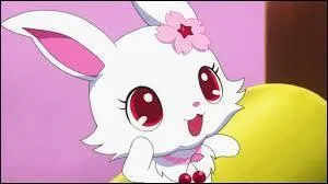 Qui est ce Jewelpet ?