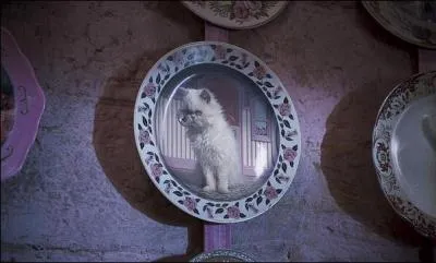 O l'on voit que le chaton sort ses griffes et plus dans l'antre du mauvais got et de la mchancet...