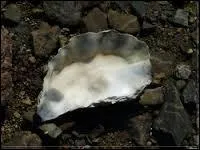 O l'on voit qu'il est bien difficile de s'abreuver quand le punch a t prpar par le Mage Noir...