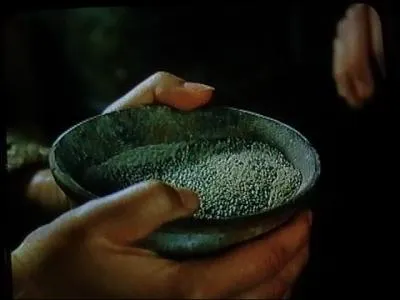 O l'on dcouvre qu'un peu de poussire lance dans la poussire entrane bien loin, bien vite...