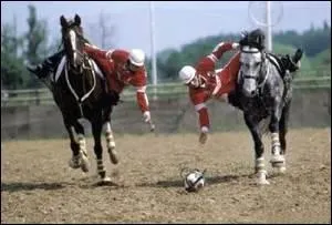 Combien de temps dure un match de horse-ball?