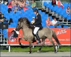 Dans cette comptition quelle est l'allure de ce cheval?