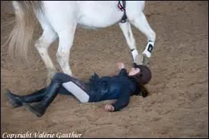 En CSO, quand on tombe avant le dpart, combien de temps avons-nous pour remonter sur notre cheval?