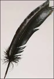 Où l'on voit qu'un parrain sait faire plaisir, même avec une simple plume, à double titre...