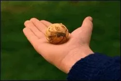 Où l'on voit que le slogan "petit mais costaud" est tout a fait approprié pour l'un comme pour l'autre...