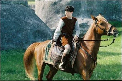 "Le cheval s'appelle Philippe - Oh pardon" - A qui appartient le cheval Philippe ?