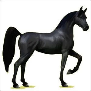 Et celui-ci, c'est un