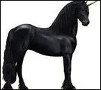 De quelle espèce et race est ce cheval ?