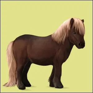 De quelle robe s'agit-il ?