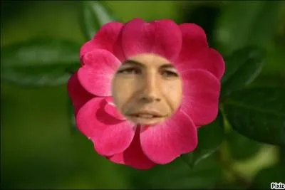 Qui est cette drôle de fleur ?