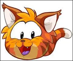 En quelle année voit-on ce chat ?