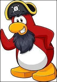 Quel est le pinz qui se trouve à la dernière page du Journal de Rockhopper ?