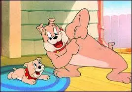 Qui est le petit chien ?