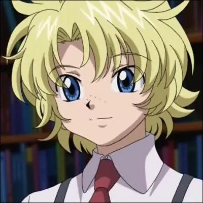 Hunter x Hunter : Qui est-ce ?