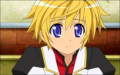 Dog Days : Qui est-ce ?