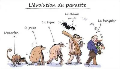 C'est bien connu, seul l'être humain peut avoir des poux !