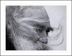 Lui, avait les cheveux aux quatre vents.