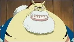 Voici Tom, l'ancien maître de Franky. A quelle espèce d'Hommes-Poissons appartient-il ?