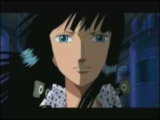 Dans cet arc, quel est le but de Robin ?