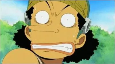 Qui dérobe deux valises d'argent à Usopp ?