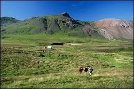 La capitale de l'Islande est Dublin.