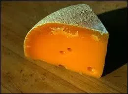 La Hollande et les Pays-Bas sont le même pays.