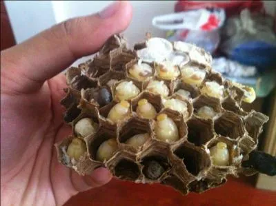 Trouvez la citation correspondante à la photo !