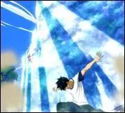 Comment se nomme cette attaque ?