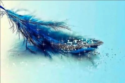 1975. Pour Christophe, qu'est-ce qui rend les gens heureux ? (clip)