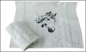 Quel est cet objet de pansage ?