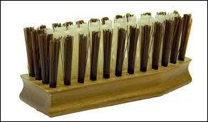 Quelle est cette brosse ?