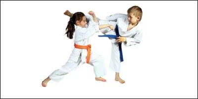 Ce sport de combat se nomme :